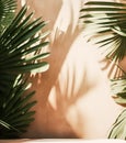 Tropical background for a product placement, palm tree leaves and sunlight shadows on the wall, minimalistic botanical backdrop, Royalty Free Stock Photo