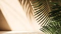 Tropical background for a product placement, palm tree leaves and sunlight shadows on the wall, minimalistic botanical backdrop, Royalty Free Stock Photo