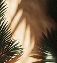 Tropical background for a product placement, palm tree leaves and sunlight shadows on the wall, minimalistic botanical backdrop, Royalty Free Stock Photo