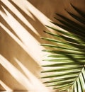Tropical background for a product placement, palm tree leaves and sunlight shadows on the wall, minimalistic botanical Royalty Free Stock Photo