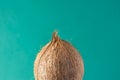 Tropical Background Ripe Coconut on Green Backdrop. Healthy Food Lifestyle Vitamins Summer Travel Vacation Concept