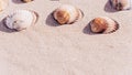 Tropical background with seashells, shells on sand tropical sea beach. Design of summer vacation holiday concept. Royalty Free Stock Photo