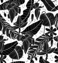 Tropical balck palm leaves, banana flowers and leaves. Abstract background seamless pattern. Black and white Royalty Free Stock Photo