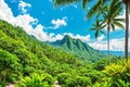 A tropical balinese background with green fresh broad leaves of palm trees and cloudy mountains.