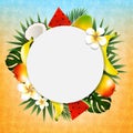 Tropical Ball Banner Royalty Free Stock Photo