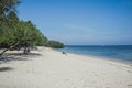 Tropical Bama Beach in Baluran Park Royalty Free Stock Photo