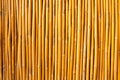 Tropical bamboo fence Royalty Free Stock Photo