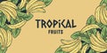 Tropical banana summer fruit poster with palms