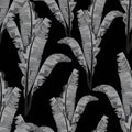 Tropical bananas leaves seamless pattern in black and white style. Royalty Free Stock Photo