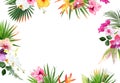 Tropical banner arranged from exotic emerald leaves and exotic flowers. Paradise plants, greenery and palm Royalty Free Stock Photo