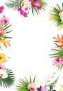 Tropical banner arranged from exotic emerald leaves and exotic flowers. Paradise plants, greenery and palm Royalty Free Stock Photo