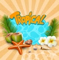 tropical banner with seashells, starfish Royalty Free Stock Photo