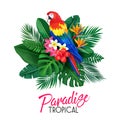 Tropical banner with toucan Royalty Free Stock Photo