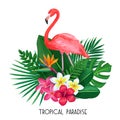 Tropical banner with toucan Royalty Free Stock Photo