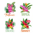 Tropical banners, flower