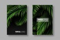 Tropical banners with palm leaves