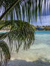 Tropical bay behind palm leaves Royalty Free Stock Photo