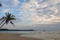 tropical bay with moored catamarans and palm tree at sunset