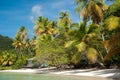 Tropical Beach Royalty Free Stock Photo