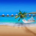 Tropical Beach Royalty Free Stock Photo