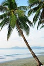 Tropical beach Royalty Free Stock Photo