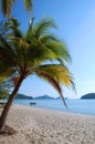Tropical Beach Royalty Free Stock Photo