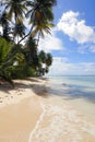 Tropical beach Royalty Free Stock Photo