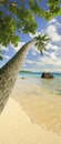 Tropical beach Royalty Free Stock Photo