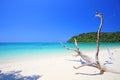 Tropical beach, Andaman Sea koh Rok Royalty Free Stock Photo