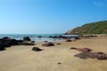 Tropical beach of arambol, Goa Royalty Free Stock Photo