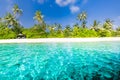 Beautiful tropical beach banner. White sand and coco palms travel tourism wide panorama background concept. Wonderful scenry Royalty Free Stock Photo