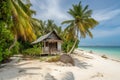 Tropical beach background, honeymoon destination, vacation advertisement. Sandy beach with palms and one wooden bungalow Royalty Free Stock Photo