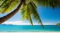 Tropical beach background with palm tree and azure sea Royalty Free Stock Photo