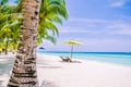 Tropical beach background at Panglao Bohol island with Beach chairs on the white sand beach with blue sky and palm trees Royalty Free Stock Photo