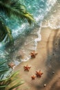 Tropical beach background with sea waves, foam and starfish, palm leaves. Top view. Summer holiday time enjoyment vacation