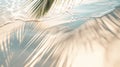 Tropical beach background with sea waves, white sand, palm tree shadows, concept banner for summer vacation Royalty Free Stock Photo