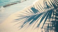 Tropical beach background with sea waves, white sand, palm tree shadows, concept banner for summer vacation Royalty Free Stock Photo