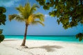 Tropical beach background, white sand, azure water and palm tree branches over blue sky. Royalty Free Stock Photo