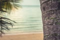 Tropical beach with palm trees and sea during sunset as summer beach holidays background in vintage style Royalty Free Stock Photo