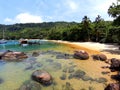 Tropical Beach, Bahia, Brazil