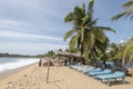 Tropical beach with bed chairs and palm trees Royalty Free Stock Photo