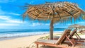 Tropical beach on blue sky background, Sri Lanka. Ocean and nice sandy shore with beach beds and umbrellas