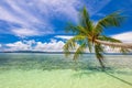 Tropical beach- calm sea surf, palm tree and blue sky - Idyllic tropical rest on island coast Royalty Free Stock Photo