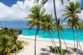 Tropical beach on the caribbean island (Bottom Bay, Barbados) Royalty Free Stock Photo