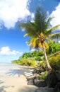 Tropical beach Royalty Free Stock Photo