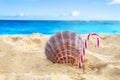 Tropical beach Christmas and New Year background Royalty Free Stock Photo