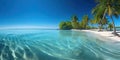 Tropical beach with clear blue water and palm trees under a bright sky Royalty Free Stock Photo