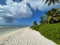 Tropical beach with clear sand and green plants as bushes and palm trees. Calm water of ocean or sea. Sunny summer day of vacation Royalty Free Stock Photo