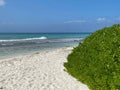 Tropical beach with clear sand and green plants as bushes and palm trees. Calm water of ocean or sea. Sunny summer day of vacation Royalty Free Stock Photo