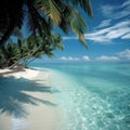 Tropical beach with clear turquoise water, white sand, and palm trees under a blue sky. Royalty Free Stock Photo